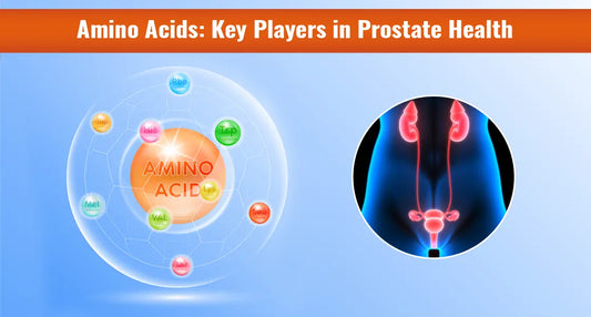 Role of Amino Acids in Prostate Health