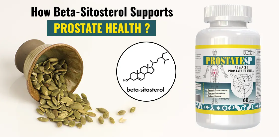 Prostate Supplements With Beta-Sitosterol