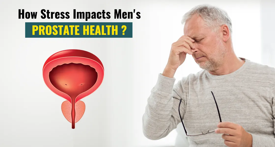 Stress Affect Prostate Health